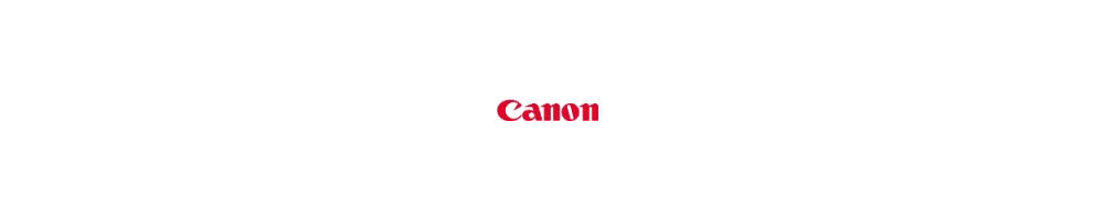 cartouche Canon S330